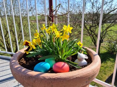 Frohe Ostern